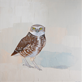 Burrowing Owl by Brit Hansen